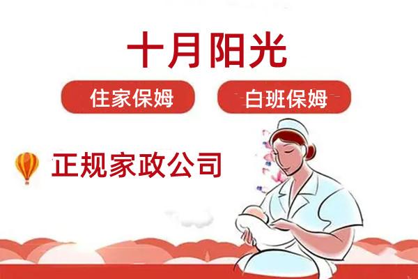 青岛保姆公司排行榜：从公司规模、服务网络、品牌历史多维度分析