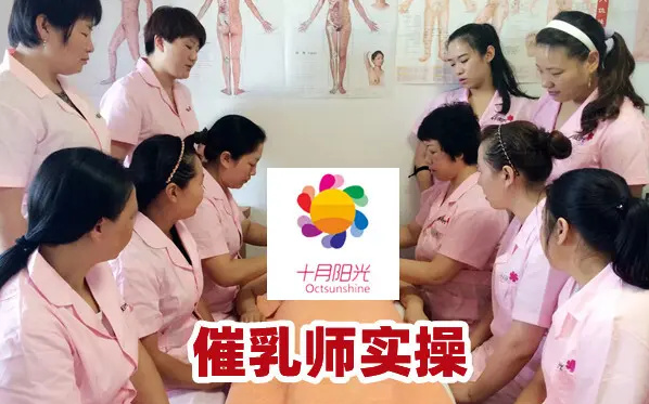 考催乳师证多少钱？报名费包括在学费里吗？