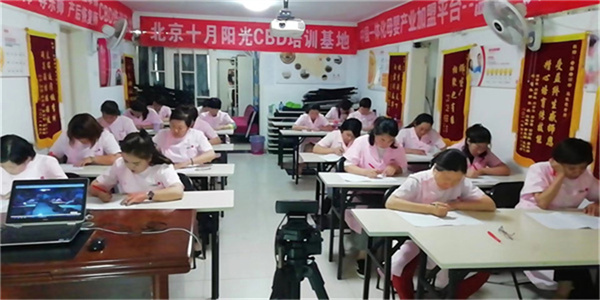 全能月嫂培训费用拆分表：基础+专项课