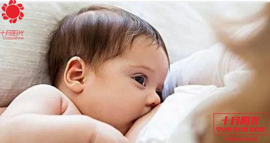 母乳喂养 母乳喂养